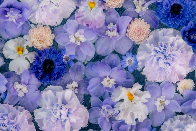 美しさと自信を